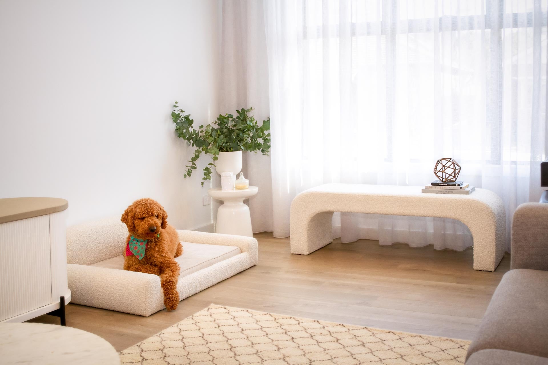 Boucle Dog bed and Boucle Arch Bench set in a stylish living space